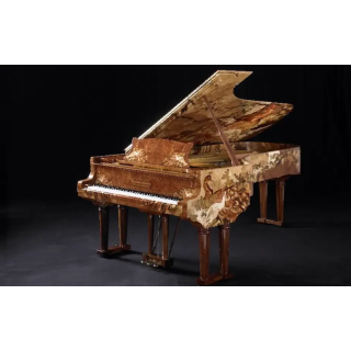 Piano Steinway spécifique Delmas