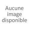 Guitare électrique